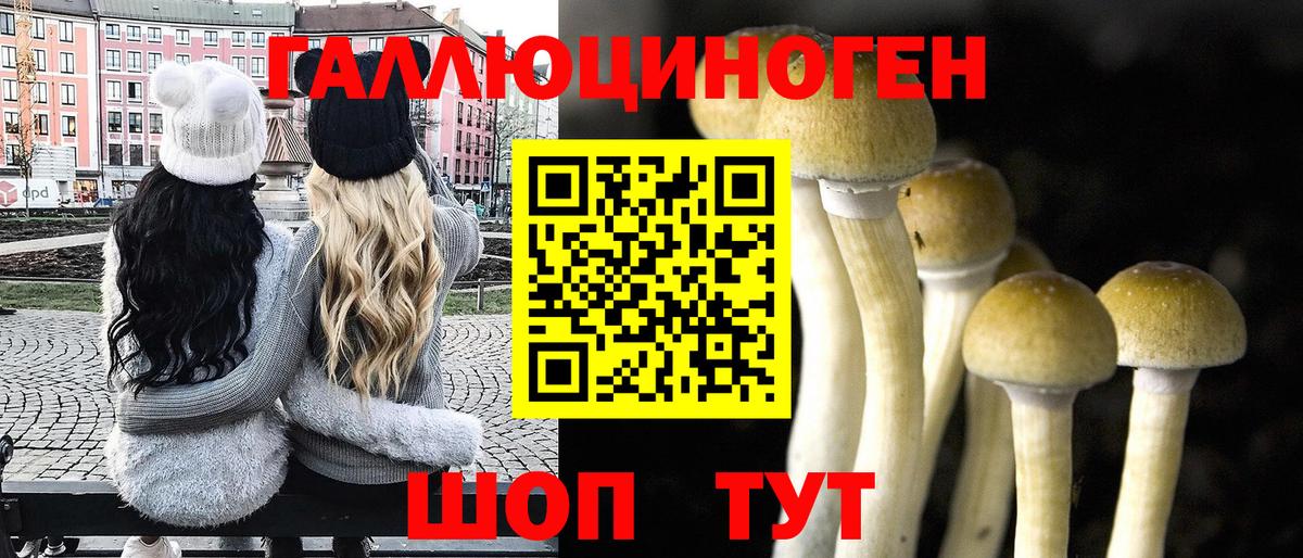 Псилоцибиновые грибы GOLDEN TEACHER Вичуга