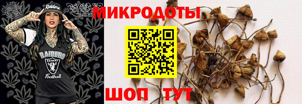 Псилоцибиновые грибы ЛСД  где продают наркотики  Вичуга  Псилоцибиновые грибы MAGIC MUSHROOMS  Вход с VPN 